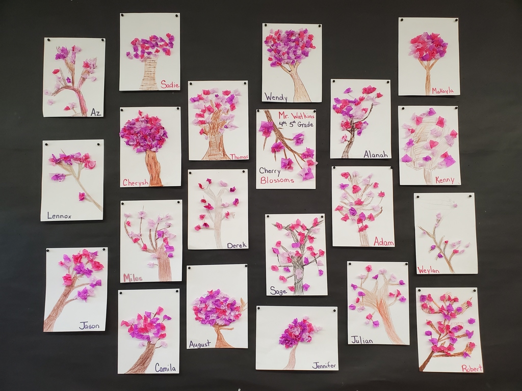 Cherry blossoms from Mr. Watkins' class