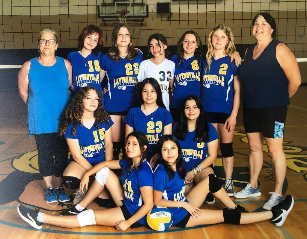 High school JV Volleyball Team