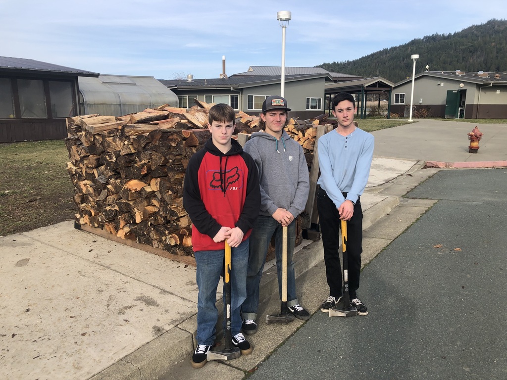 LHS Building Trades Students who helped split firewood.  